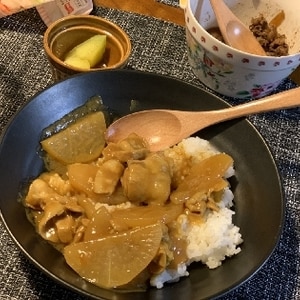 ＊大根カレー＊